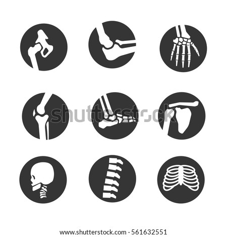 human bone and joint icon set Foto d'archivio © 