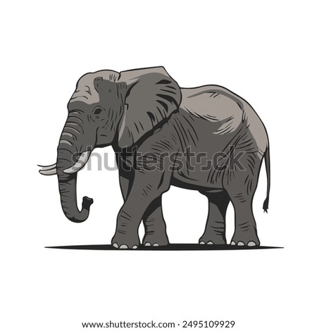 An elephant vector on a white background