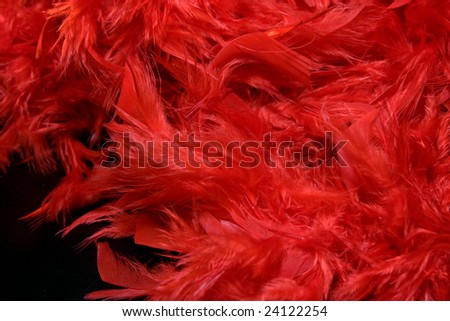 Background with red feathers