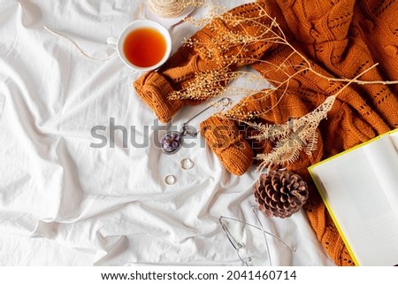 Similar – Image, Stock Photo Women fashion composition. Warm winter female woollen knitted sweaters, pullovers stack on a wooden stool at white background. Modern clothes concept for magazine, blog, social media.