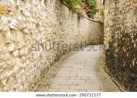 Perspective street background between old retro golden brick wall with flowers. Decorative cross pattern.Clean ground.No people