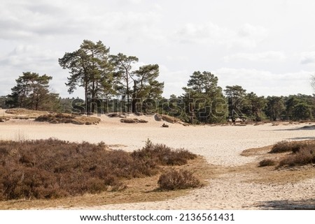 Similar – Image, Stock Photo Ice Age | Forest Puddle