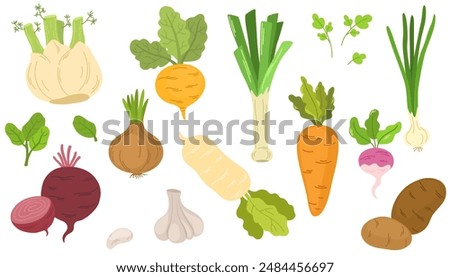 Similar – Image, Stock Photo turnips Food Vegetable