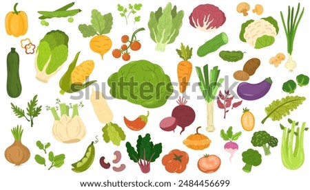 Image, Stock Photo turnips Food Vegetable