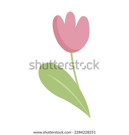 Single flower vector illustration. One flower. Pink tulip. A simple modern freehand drawing, a universal picture for your creativity. Clip art isolated on white background, cartoon character