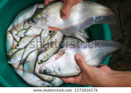 shutterstock puzzlepix
