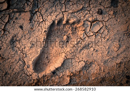 Mud is dry and cracked with foot print.