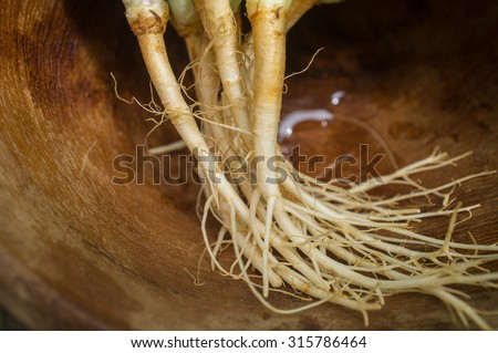 Coriander root. It's the root part of the coriander (cilantro) plant. It is vegetable and herb for Thai food.