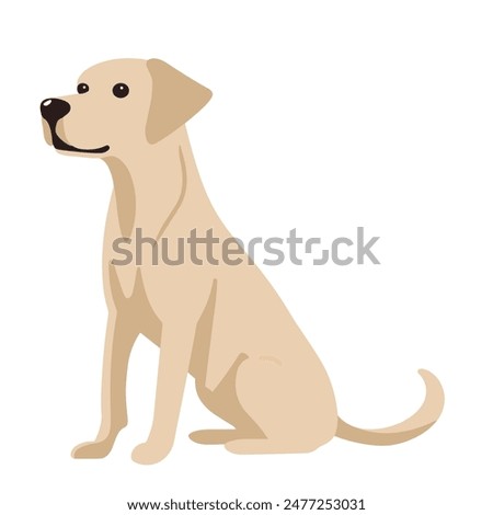 The vector illustration shows a yellow Labrador retriever on a white background. The dog is turned to the left and has its head slightly raised. It has a long tail and is sitting.