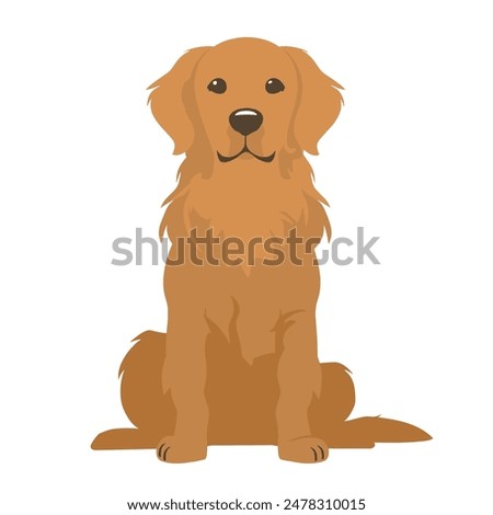 Similar – Foto Bild Bezaubernder Golden Retriever Hund im gelben Feld bei Sonnenuntergang. Wunderschönes Porträt eines jungen Hundes. Haustiere im Freien und Lebensstil