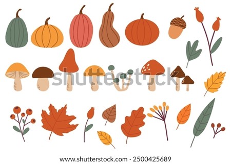 Hand drawn vector set autumn elements. Fall leaves, mushrooms, maple, acorns, berries, oak, pumpkins. Harvest time. Colored trendy illustration. Autumn floral stickers. EPS10