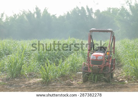 Sugar cane farm with tractor.