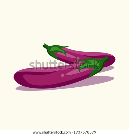 eggplant. eggplant vector. Eggplant vector flat. eggplant illustration. vegetables