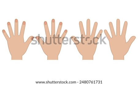 Simple illustration set of palm and back of hand