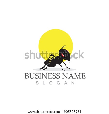 Ant Logo template vector illustration design