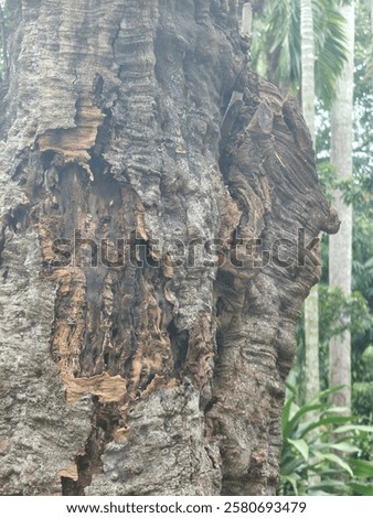 Similar – Image, Stock Photo weathered Detail Disaster