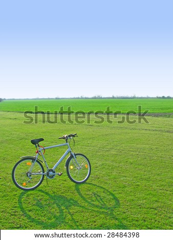 Modern bicycle in green field on clear day