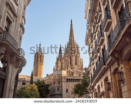 Similar – Image, Stock Photo Barcelona Cathedral, Saint Eulalia Exterior Details