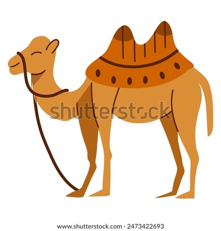 Camel cartoon illustration, camel vector illustration