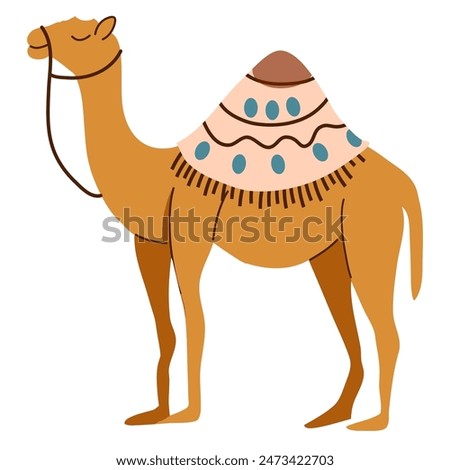 Camel cartoon illustration, camel vector illustration