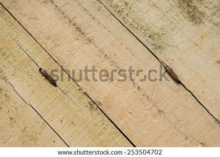 Nail in wood surface, horizontal photo.