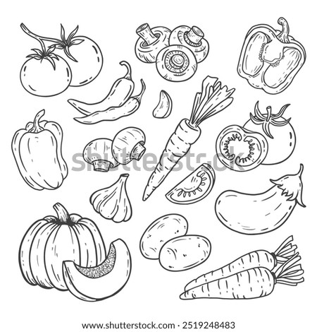 set of vegetables in doodle style. Hand drawn vegetables with pumpkin, potatoes, eggplants, garlic, carrots, peppers, tomatoes, champignons. Sketch of a vegetable. Vector illustration