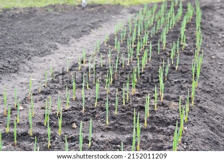 Image, Stock Photo node Economy Agriculture