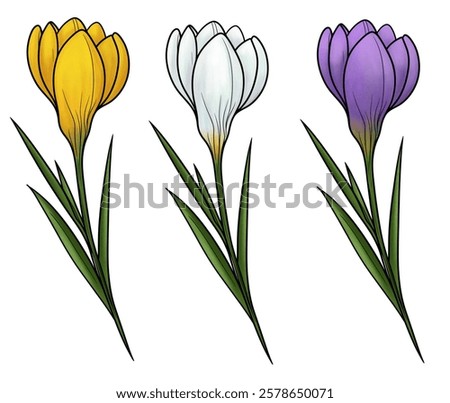 Similar – Image, Stock Photo three crocuses Crocus