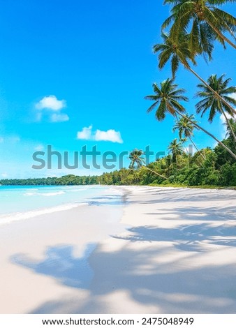 Similar – Foto Bild Weiße Sandstrandlandschaft an einem Sommertag auf Sylt