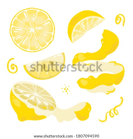 Set of slices of lemon on isolated background. Lemons and zest. Vector illustration