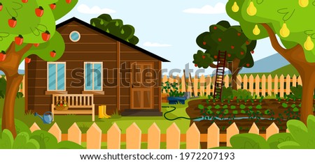 The backyard of a house in suburb neighborhood. Summer or autumn garden  with grass, trees, bushes, furniture, garden tools, wood fence and vegetable garden.
