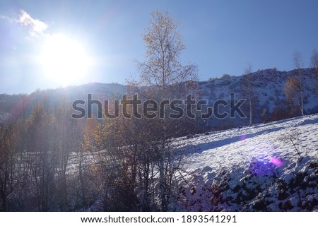 Peisaj iarna 2021 Muntii Mehedinti Imagine de stoc © 