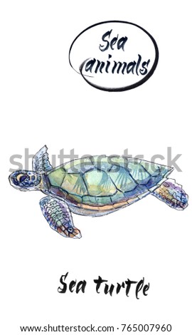 Sea turtle sweems, hand drawn, watercolor illustration