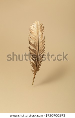 The feather is covered with gold paint close-up on pastel background . Pen for calligraphy. Golden feather. Pastel background