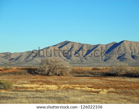 Scenic view of the Van Horn mountain range in Texas, with grassland and brush in the mid-ground.