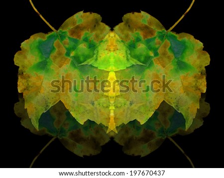 This image is one of a series of vivid organic backgrounds based on leaf forms isolated on a black ground.