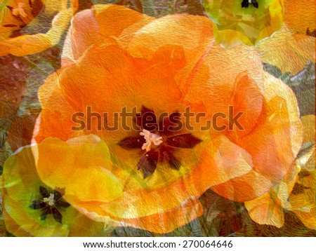 This is a bright and cheerful abstract digital image of tulips in glorious color variations.