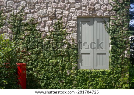Brown stone veneer wall with gray wooden window and growing green plants.