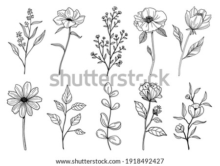 

Line art of flowers and plants