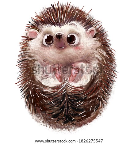 cute lovely little hedgehog character