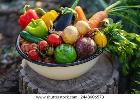 Similar – Image, Stock Photo Green vegetables from the garden on the kitchen table