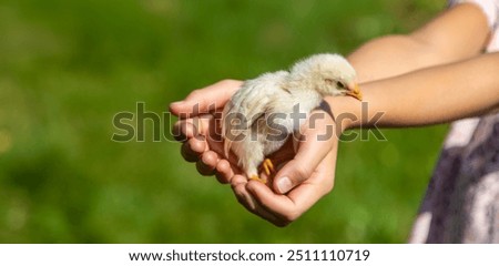 Similar – Image, Stock Photo Small Caucasian Girl Holding Sign and Pencil in Home Kitchen