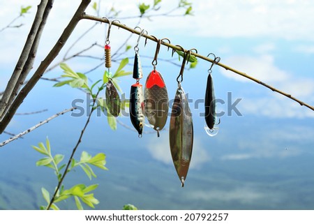 Baits for catching a predatory fish