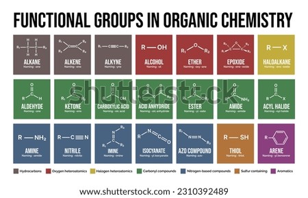 Functional groups in organic chemistry. Vector editable