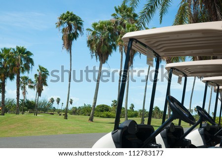 Golf course with golf carts lined up and ready.