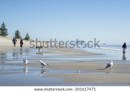 TAURANGA, NEW ZEALAND - JUNE 29: People enjoying a fine winter day at a scenic beach on June 29, 2014 at Tauranga, New Zealand.