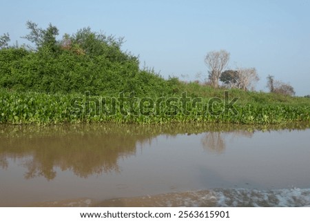 Similar – Image, Stock Photo Bright river landscape under cloudy sky with houses and buildings o city