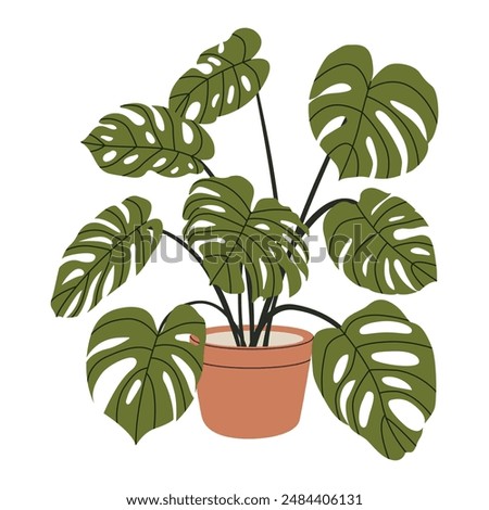 Similar – Image, Stock Photo Leaf of monstera houseplant