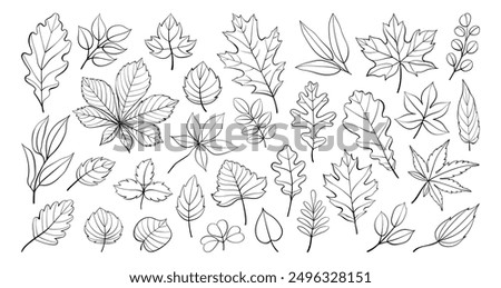 Similar – Image, Stock Photo autumn foliage Environment