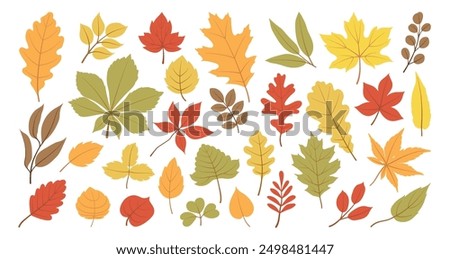 Similar – Image, Stock Photo Autumn leaves on a boardwalk by a stream